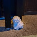 현콩샵 | 일본 겨울 온천여행 도쿄 근교 나가노현 카이알프스 료칸 추천!