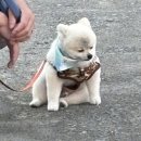 더블유에프몰 | 1. 제목을 맞춰보시오. (3점)