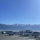 행복낚시(Happy-Fishing) | 【뉴질랜드 워킹홀리데이】 지극히 주관적인 후기 <Kaikōura>