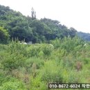 쌍백농장 이미지