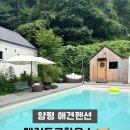 도그-in 하우스 이미지