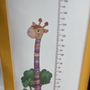 참약사 햇살약국 이미지