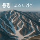 알펜시아 스키 & 스노우보드 | 대관령 스키장 비교｜용평 vs 알펜시아, 어디가 좋을까? (스위스 샬레 추천)