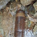 화악지암길 이미지