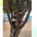 자연유치원 | 2025 자연친화적인 사립유치원 입학설명회 참석 후기(비대면)