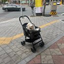 대백마트네오시티점