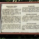 절영도진첨사 송덕비 이미지