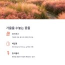 하추리 하천변 네이버블로그