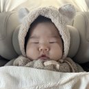 배고픈덮밥 공릉점 | 2026. 1. 다섯째 주 :: 나의 일상 찾기