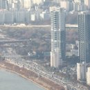 강남-014 이미지