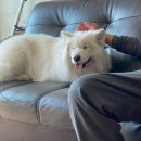 무럭무럭(주) 이미지