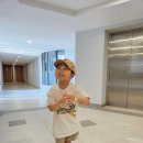 빅마트안경 | [조호바루] D+17 티가레지던스, 메디니몰 빅마트, 레고랜드 말레이시아, 티안라이 칠리크랩