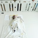 (주)솜바이오 이미지