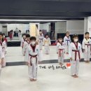 THE바른태권도 이미지