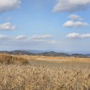 순천만짱둥어마을 이미지