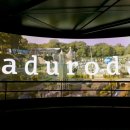 마두로담 이미지