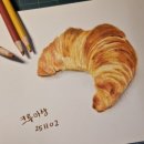 함께 그리는 색연필 일러스트 이미지