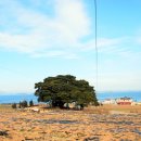 남해-299 이미지