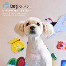 뽀미 애견 미용샵 이미지