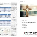 2024년 5월 5일(18주) 주보 이미지