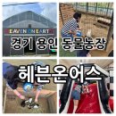관상농장 | 경기 용인가볼만한곳 아이와 동물농장 + 감자캐키 “헤븐온어스 동물체험농장” 후기