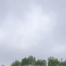 새희망공인중개사 사무소 이미지