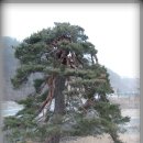 천천면광산마을 이미지