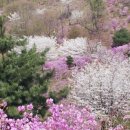 꽃동산 유치원 이미지