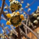 저전나눔터 이미지