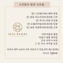 스킨,담다