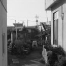 하모리-38 이미지