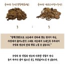 생수건강원 이미지