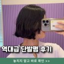 분당 정자역 미용실 박승철 정자점 지웅부원장 역대급 단발펌 후기