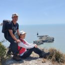 진도신비두부 이미지