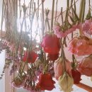 비지팅복지용구 이미지