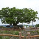 예당글로리아 이미지