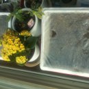 근원농장 이미지