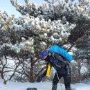 금북정맥 5구간(43km)한파경보,강풍경보,풍랑경보,대설주의보까지 내려진 고향 산줄기에 취하다~2! 이미지