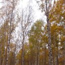 자작나무와 바이칼의 노래 2.(알혼섬 ①딸지박물관, 부랴트족 민속공연) 이미지