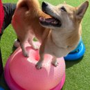 놀러오개 송파점 이미지