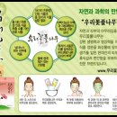꽃풀