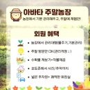 팜5150