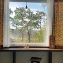 LAONHAJE(라온하제) 이미지