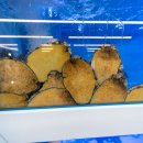 스테이외도 이미지