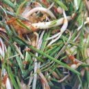 효림농장 이미지