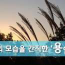 용암산성 네이버블로그