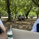 비어마켓 이미지