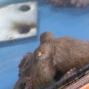 갈비만 대구본점 이미지