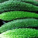 보광약업사 이미지