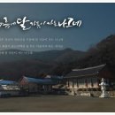 구름에달가듯이
